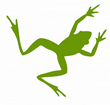 Tixeo, la “frog” 100% Home Office - Tixeo Fully Remote OrGanizationS Tixeo, la “frog” 100% Home Office - Tixeo Fully Remote OrGanizationS
